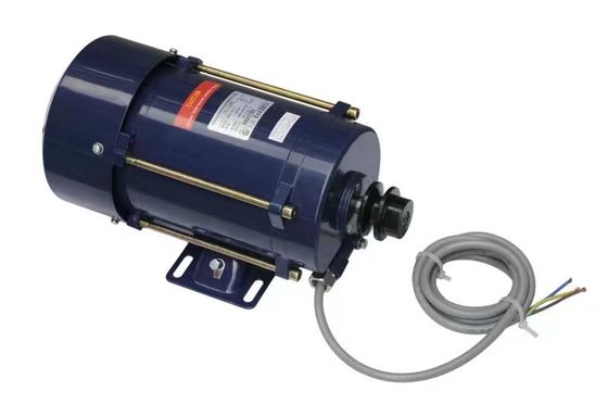 Good price SSS220V Exproof Single Phase Gas Pump Motor Bennett Fuel Dispenser Parts 0.75kw online