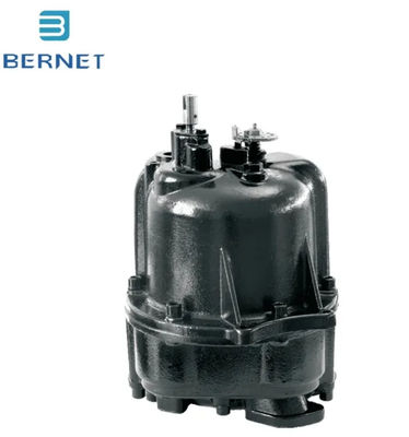 Un buen precio. Bernet Alta velocidad de flujo larga vida útil Medidor de flujo de hierro fundido para dispensador de combustible en línea