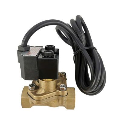 Un buon prezzo. Valvola a solenovide per distributore di carburante di alta qualità di marca Bernet in linea