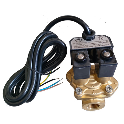 Un buon prezzo. Valvola di controllo del flusso solenoide incapsulato per distributore di carburante a GPL in linea