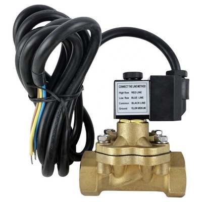 Un buon prezzo. Valvo solenoide automatico del distributore di GPL Pompa di carburante 12V Valvo solenoide di benzina in linea
